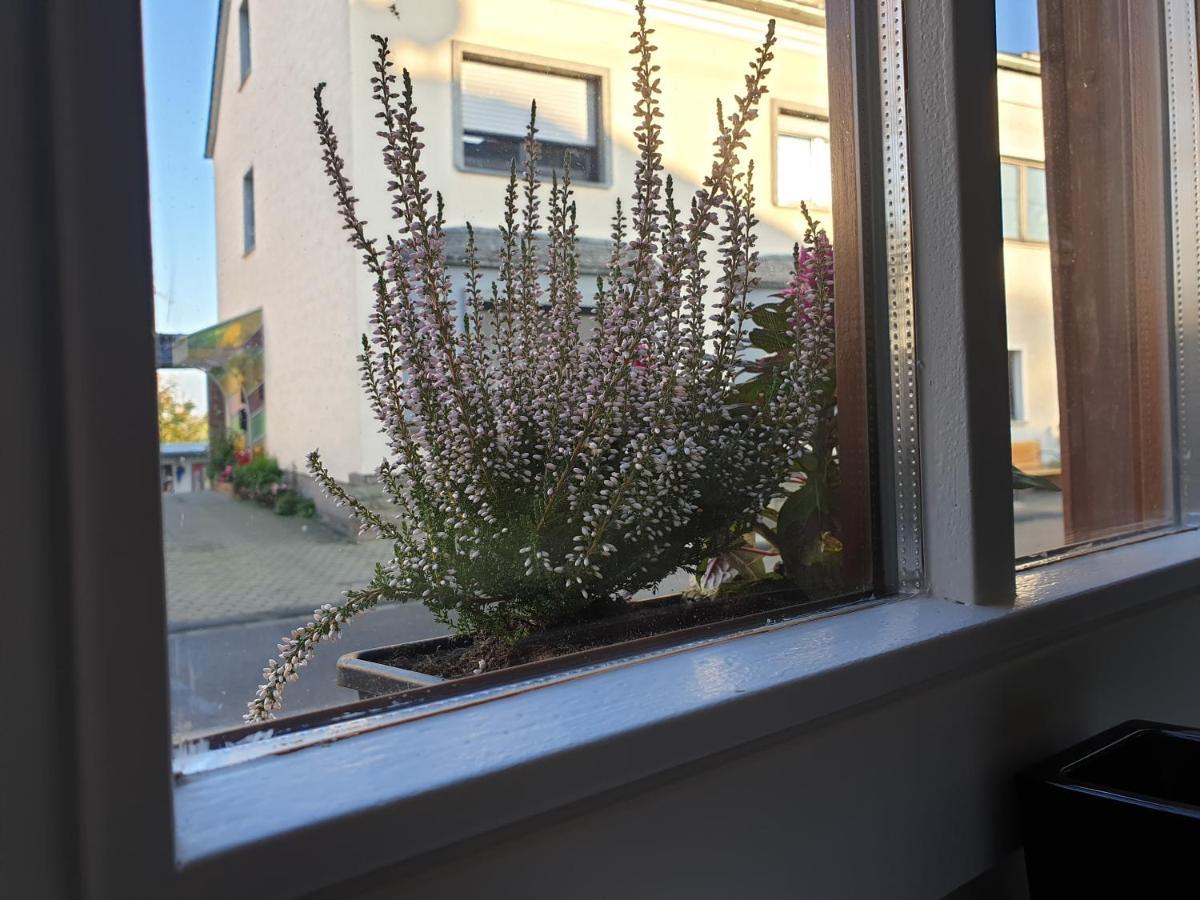 Duex-Hof Apartment Fachwerkhaus Bornheim  Buitenkant foto